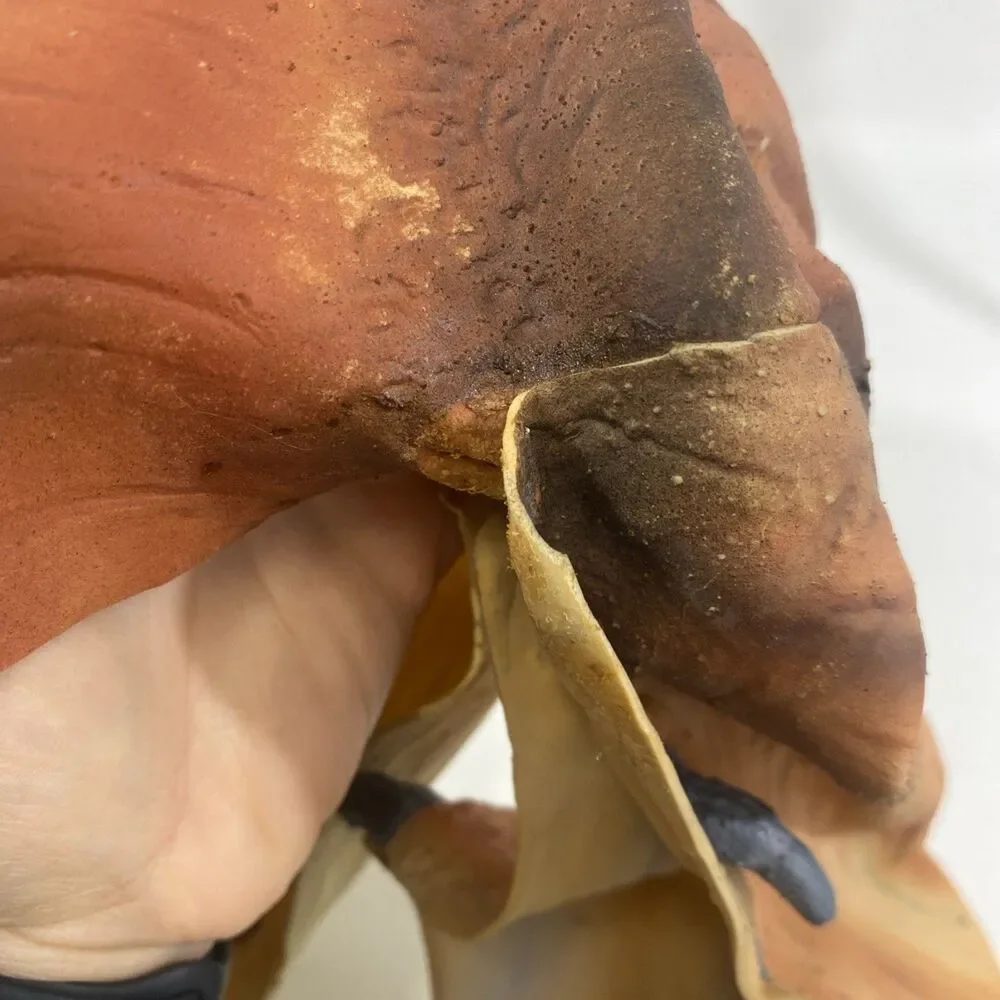 Vintage Star Wars Episode 1 Jar Jar Binks PVC Rubber Don Post Costume Mask 1999